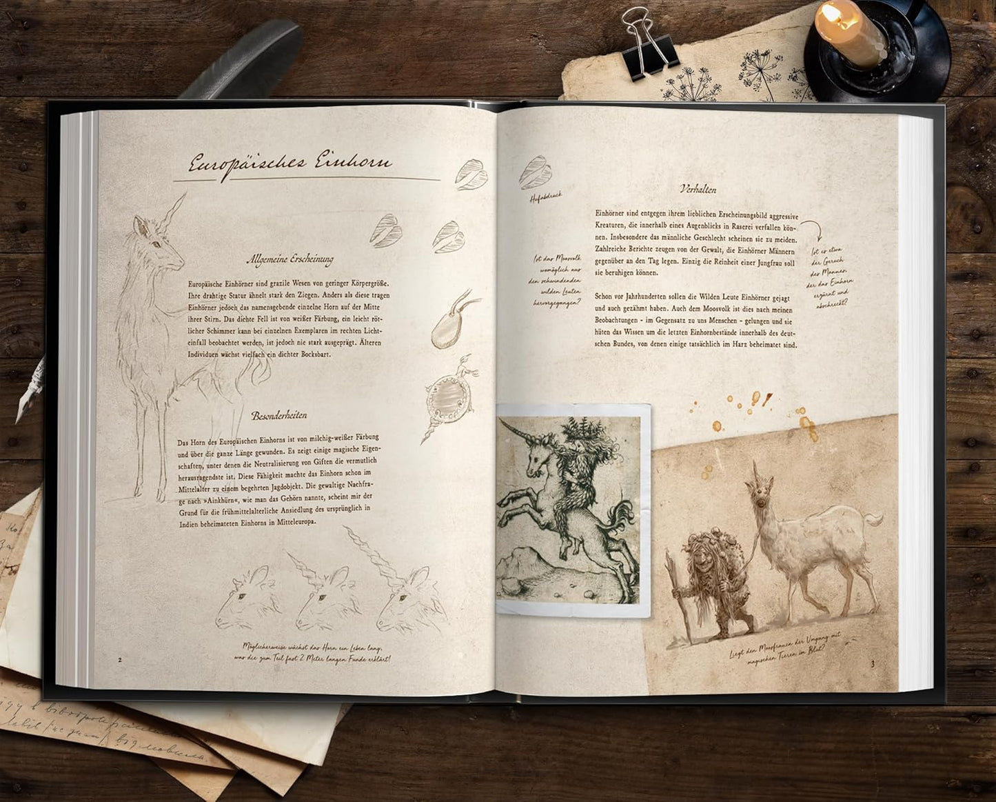 Fast verschwundene Fabelwesen: Die sagenhafte Expedition des Konstantin O. Boldt