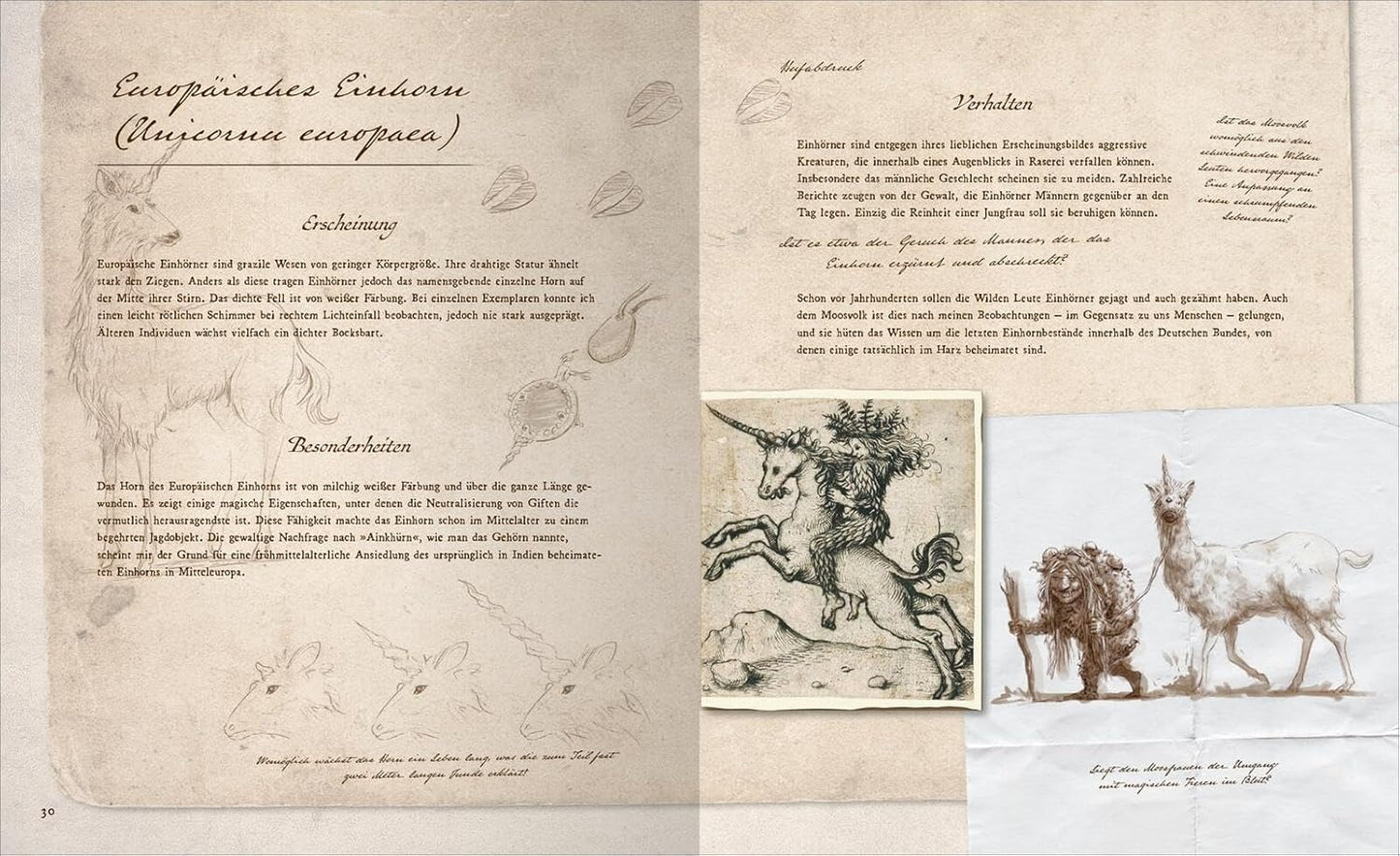Fast verschwundene Fabelwesen: Die sagenhafte Expedition des Konstantin O. Boldt