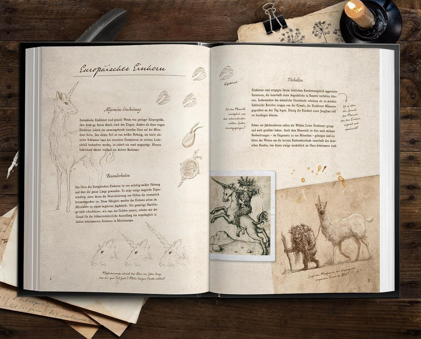 Fast verschwundene Fabelwesen: Die sagenhafte Expedition des Konstantin O. Boldt
