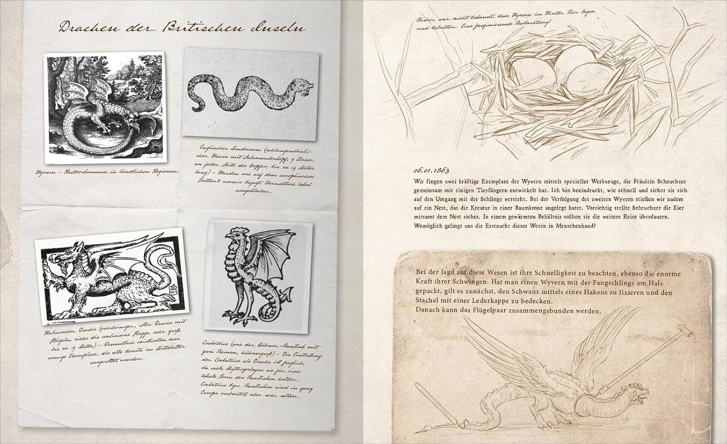 Fast verschwundene Fabelwesen: Die sagenhafte Expedition des Konstantin O. Boldt